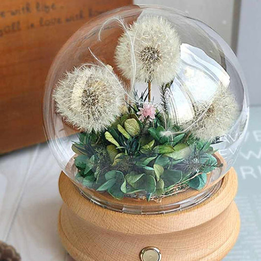 Preserved Dandelion - LED Bluetooth Music Speaker