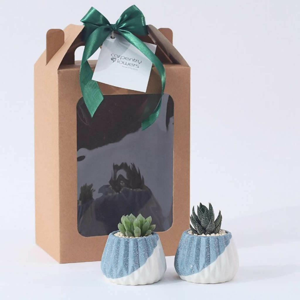 Emerald Oasis - Plant Gift