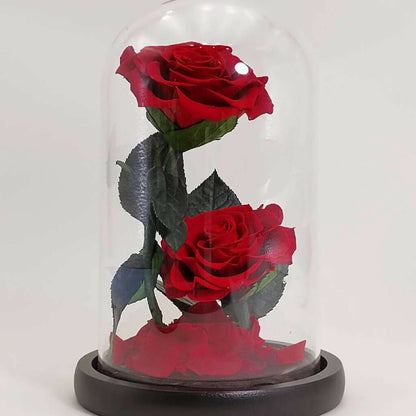 Just 2 Of us - Preserved Flower Jar