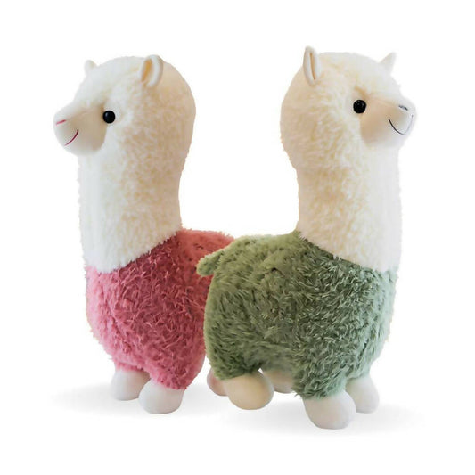 Baby Llama - Soft Toy
